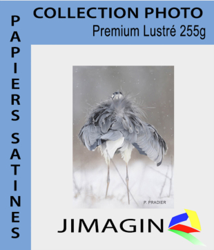 Papier  premium luster 255g 50 feuilles A2+