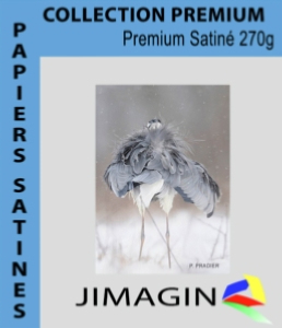 Papier photo premium satiné 270g/m² HW  A4 x 50f
