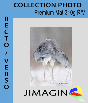 Papier  premium mat 120g/m²  recto verso A3 200f